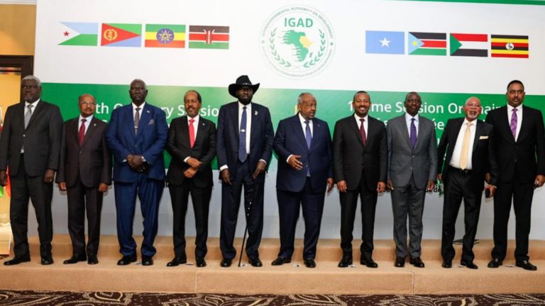 WHAT COULD IGAD DO TO PROMOTE PEACE IN THE HORN OF AFRICA?