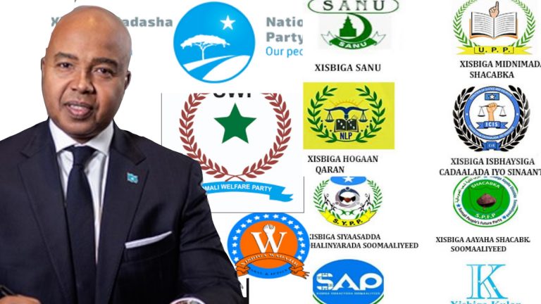 PART 3-HOW CAN POLITICAL PARTIES HELP SOMALIA DEVELOP ITS DEMOCRACY?